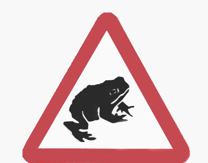  Chrońmy płazy – żaby na drodze